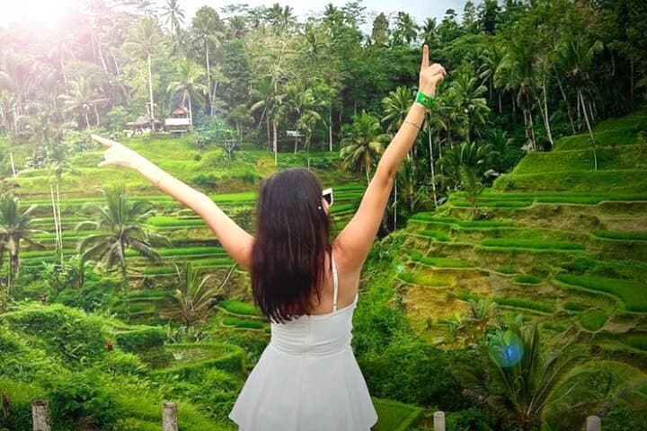 Ubud Day Trips: Waterfall, Temple, Rice Terrace, Hidden Forest
