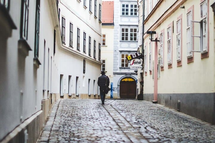 Mystery rally : True Viennese crime story(s)
