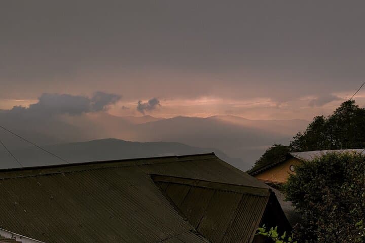 Darjeeling Forests on Foot