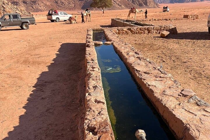 2 Hour Jeep Tour (Morning or Sunset) Wadi Rum Desert Highlights