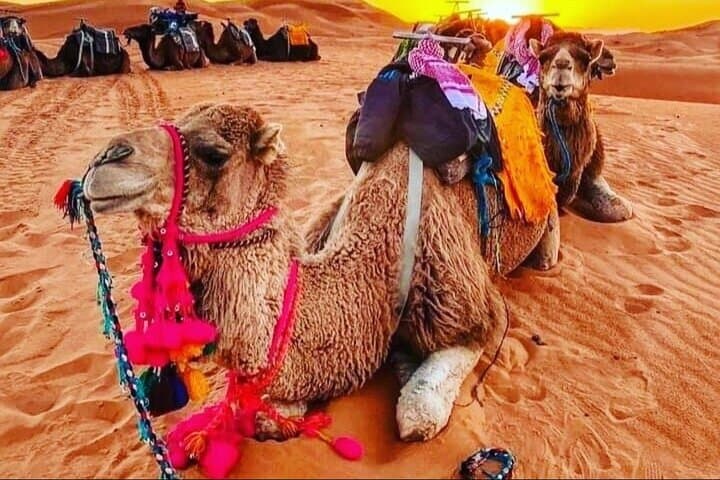 3 Day Marrakech to Merzouga Desert Tour