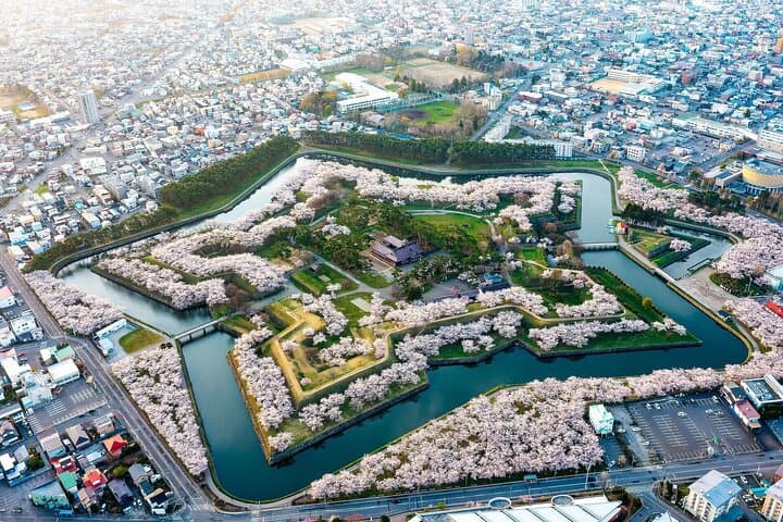 Private Hakodate Night Illumination Tour