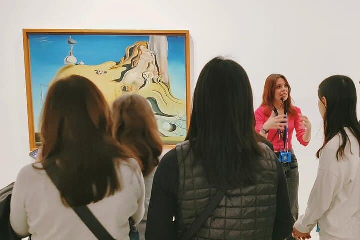 Private Tour to the Prado and Reina Sofía Museum