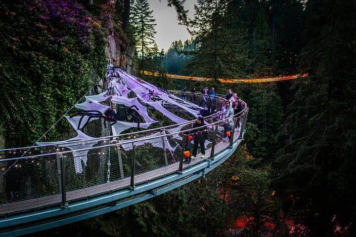 Capilano Bridge+Granville Islan+Hatchery+Lynn Canyon Private Tour