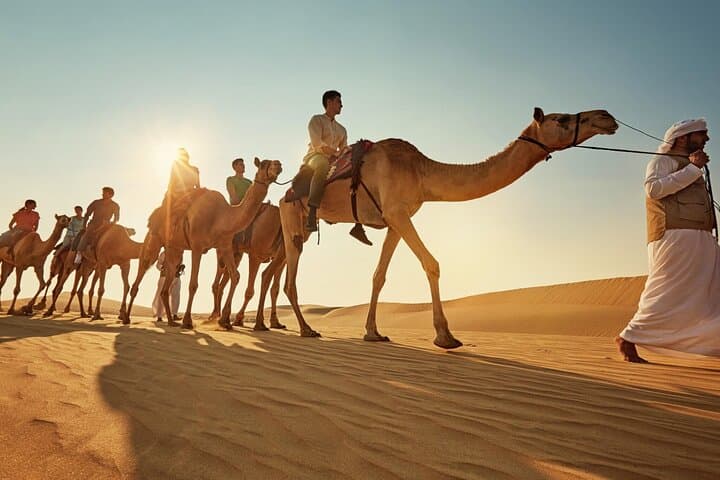 Marsa Alam Desert and Sea Camel Riding Adventure