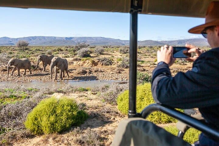 3 Day Big Five & Cheetah Run Safari – Inverdoorn