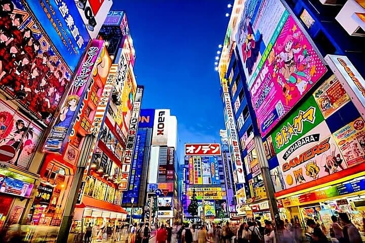 Tokyo Private Tour with English Speaking Driver Customizable