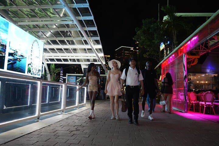 Miami Small-Group Night Tour with Skyview Wheel