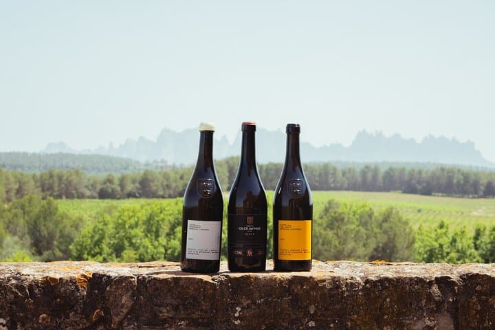 Montserrat & Boutique Winery with Catalan Brunch | Private Tour