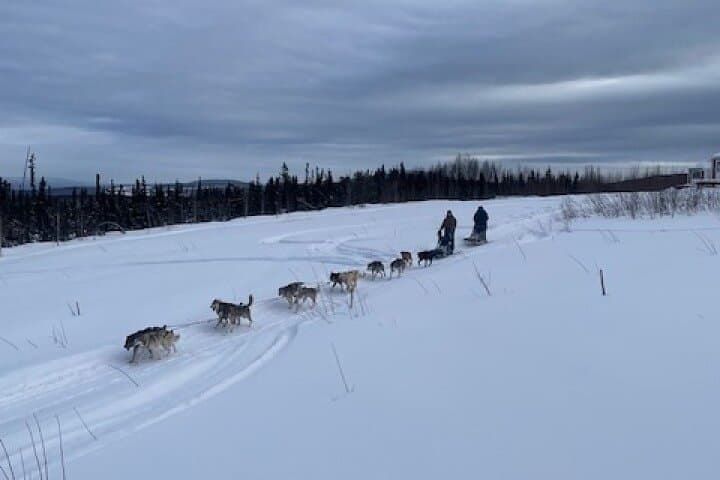 2-Hour Basic Dog Mushing School (with Transportation)
