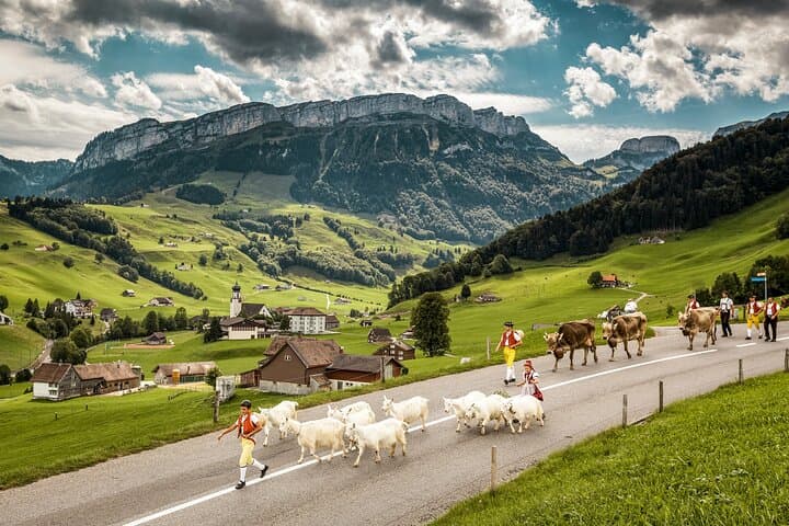 Appenzell Alps Day Trip from Zurich – Farm Life & Cheese Tasting