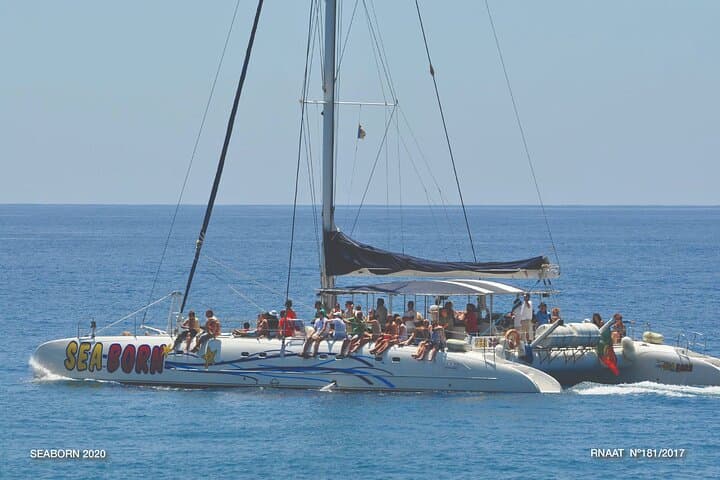 Amazing Skywalk, Wine Tasting & 4x4 Adventure + Dolphin Watching