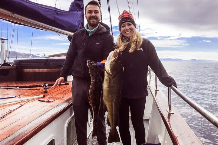 Tromsø Small Group Sea-to-Table Fishing Trip