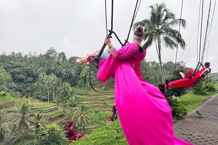 Bali Tour: Monkey Forest, Waterfall, Temple and Rice Terrace