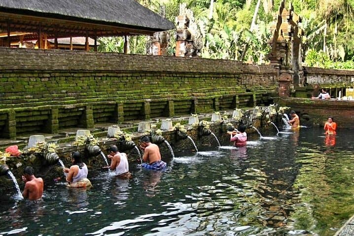 Ubud Private Tour - Guided Tour All Inclusive
