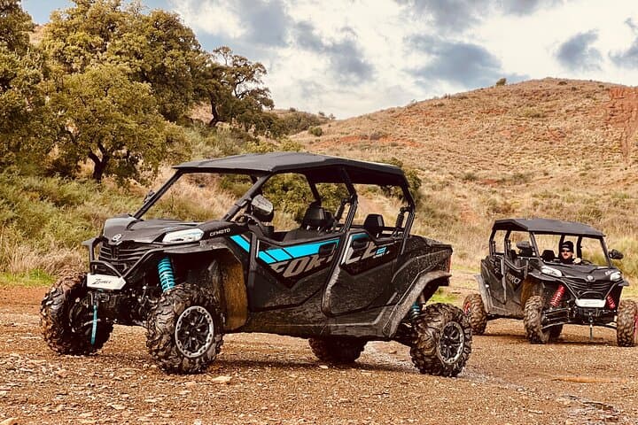 2 Hours Buggy Safari Experience in the Mountains of Mijas with Guide