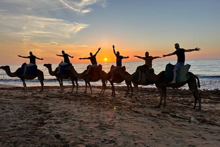 Tangier : Sunset Camel Ride With Barbecue dinner in Tangier