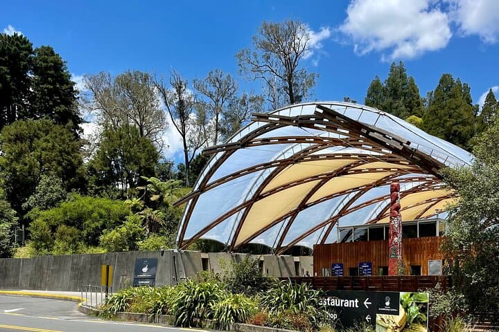 Waitomo Caves / Transfer