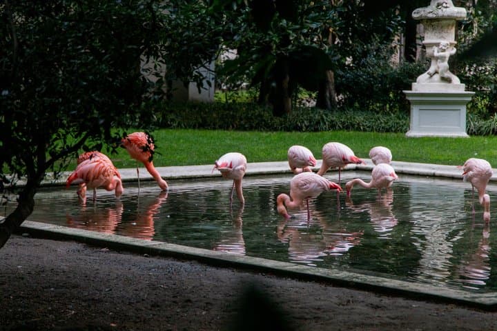 The Secret Milan – An Exclusive Stroll Beyond the Beaten Path
