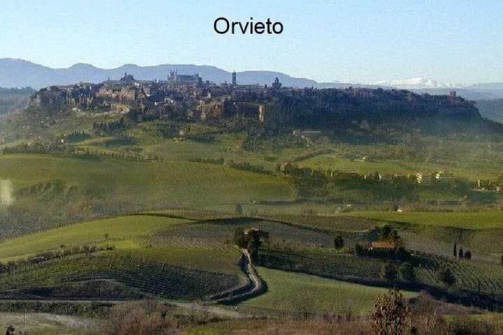 PRIVATE TRANSFER FROM FLORENCE TO ROME (or vice versa)