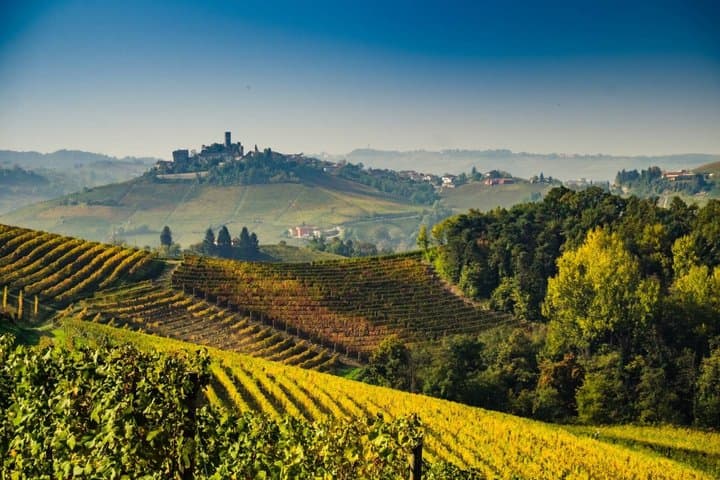 Exclusive 3-Day Barolo Wine Experience from Florence