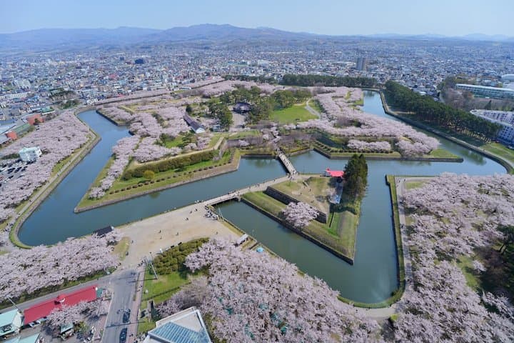 Hakodate Exploration Tour with Private Guide