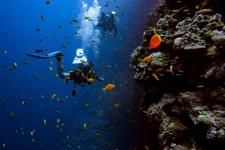 Try Scuba Diving in Budva: Boat Experience & Underwater Tunnels