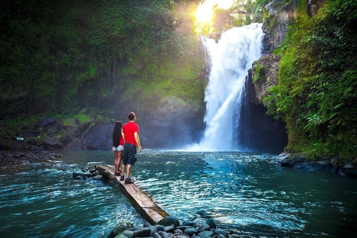 Bali: Ubud Tour-Waterfall, Monkey forest, Rice terrace & Temple