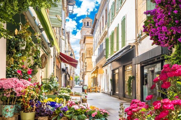 Private Shore Tour: Provence & Camargue Highlights