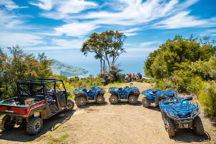 Quad Bike - Bayview Circuit