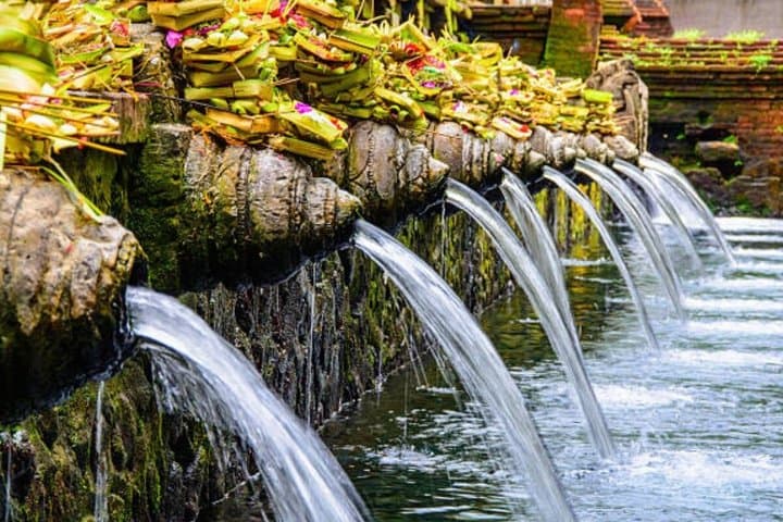 All Inclusive Ubud Tour –Monkey Forest, Temple and Waterfall