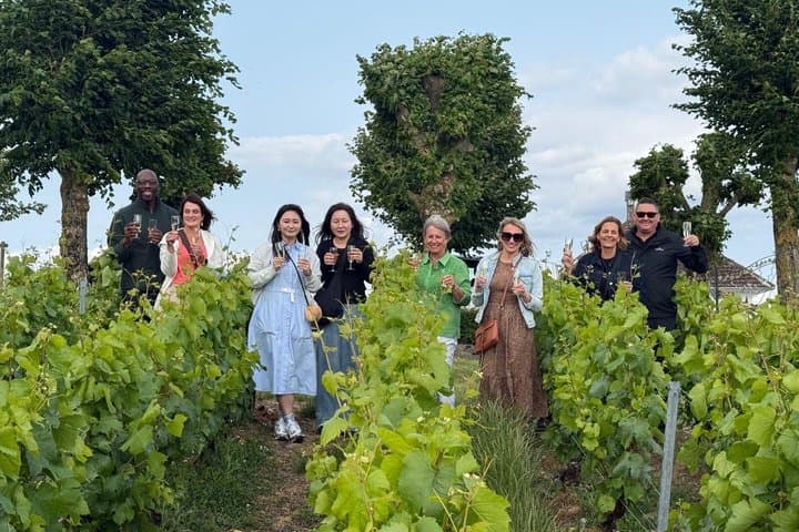 Tuscany Day Trip from Rome with Wine Tasting & Traditional Lunch