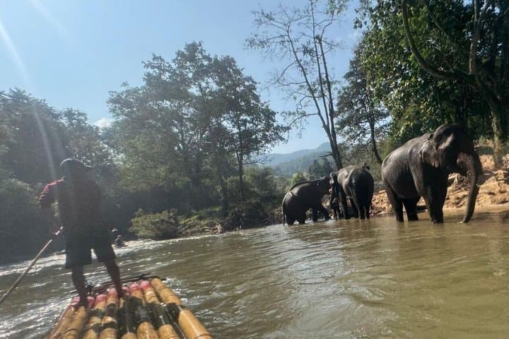 Elephant Sightings , Bamboo Rafting Through The Jungle, Swimming In a Waterfall