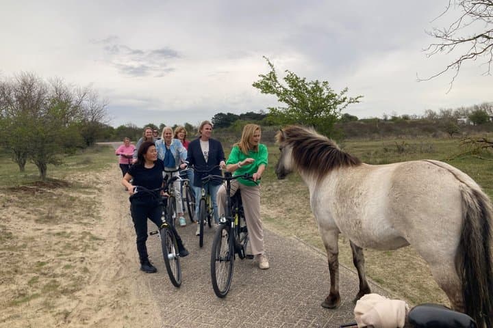 Bike Tour Haarlem | National Park | Dunes & Sea