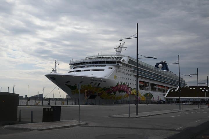 Copenhagen: French excursion from the cruise port
