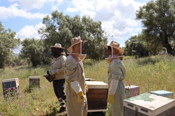Melissini Beekeeping Experience