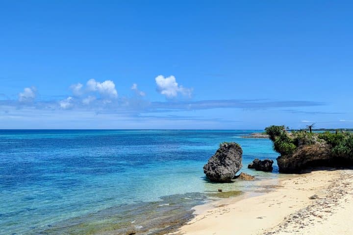 North Beaches Private tour with licensed interpreter guide/driver