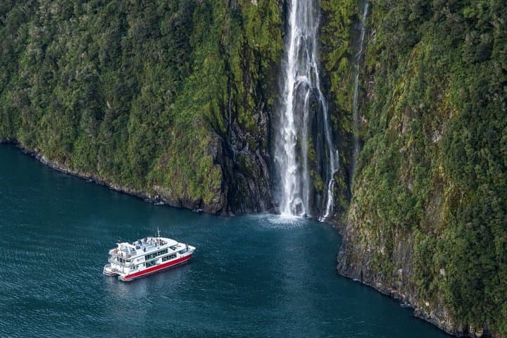 Milford Sound Coach & Cruise from Queenstown: Panoramic Views