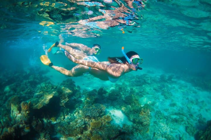 6-Day Coral Coaster from Perth to Exmouth One-Way via Monkey Mia Ningaloo Reef