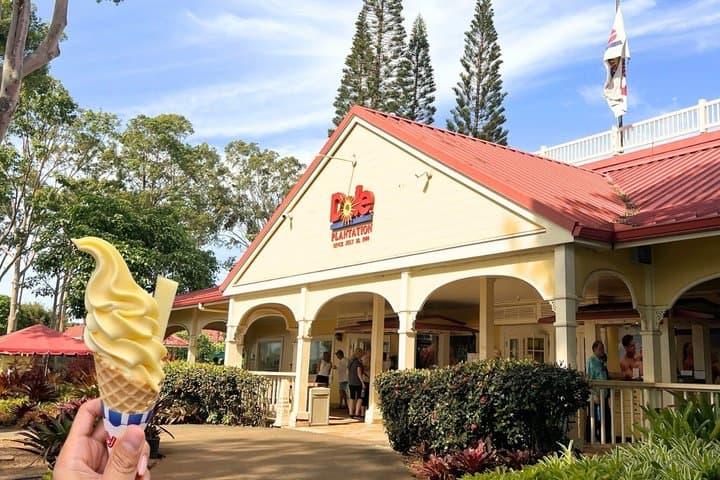 Dole Pineapple Plantation and Ko Hana Distillery with Rum Tasting