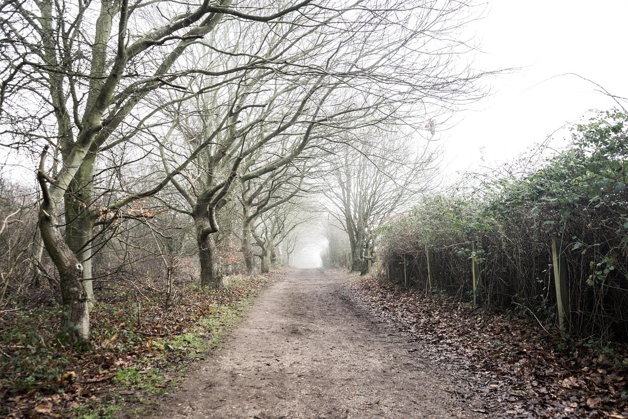 Alton, England