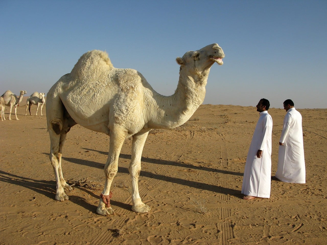 AlUla, Saudi Arabia