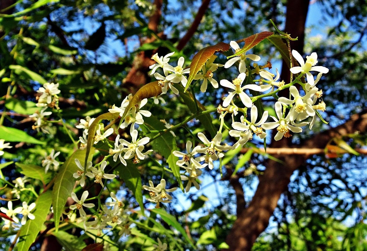 Bhuj, India