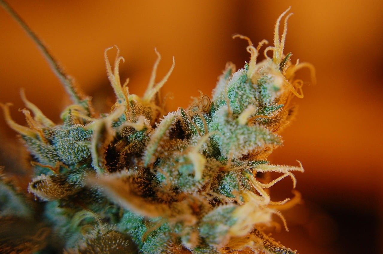 Ganja, Azerbaijan