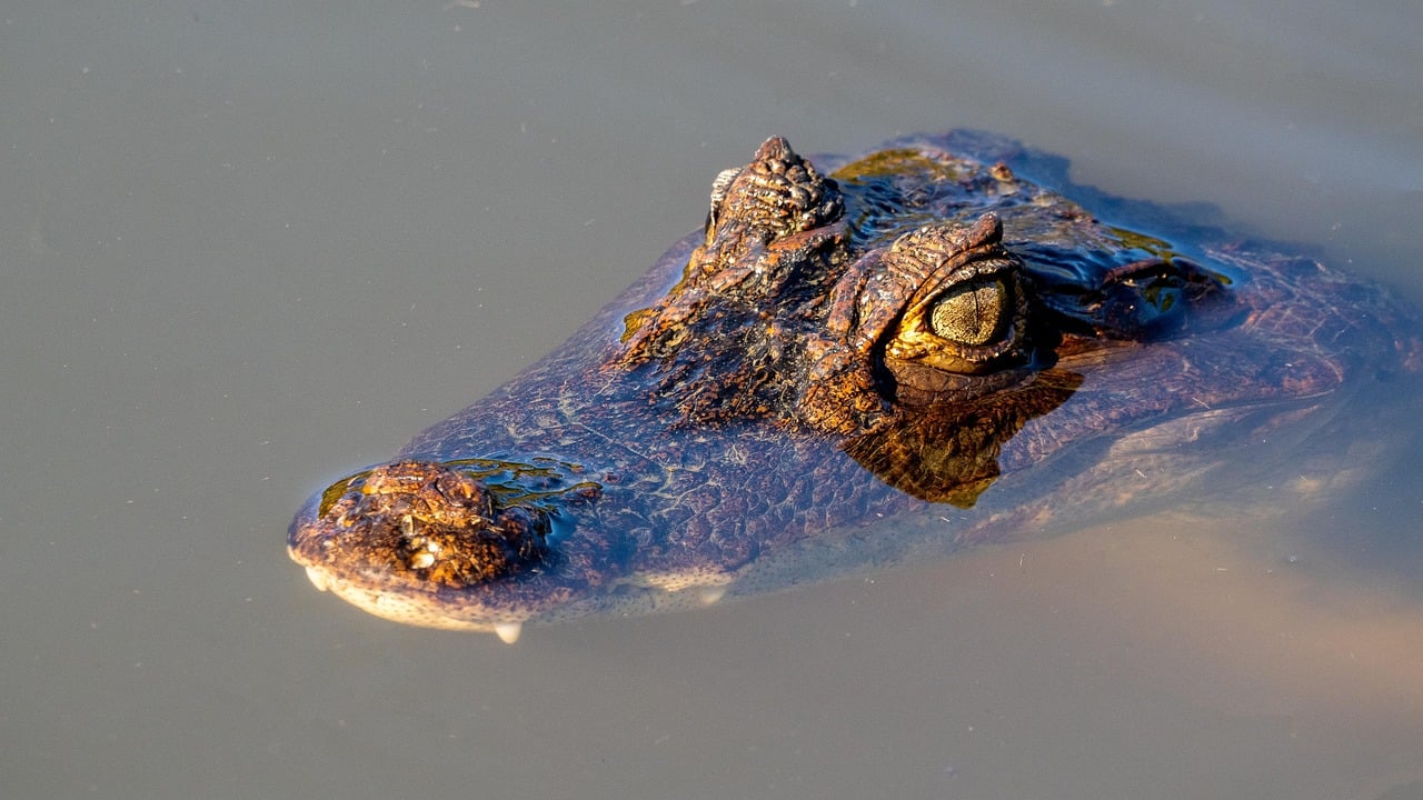 Jaco, Costa Rica