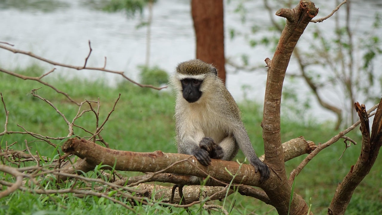 Jinja, Uganda