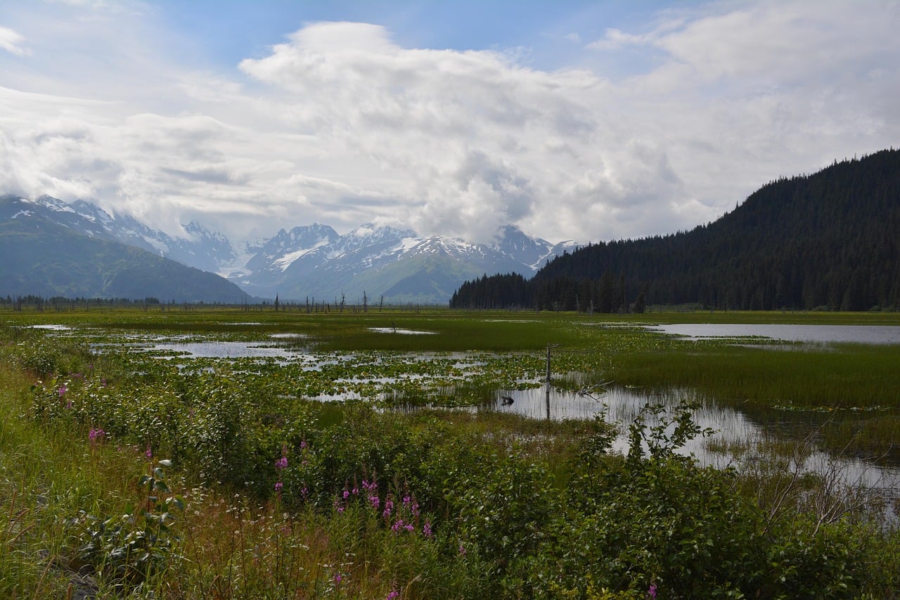 Kenai, USA