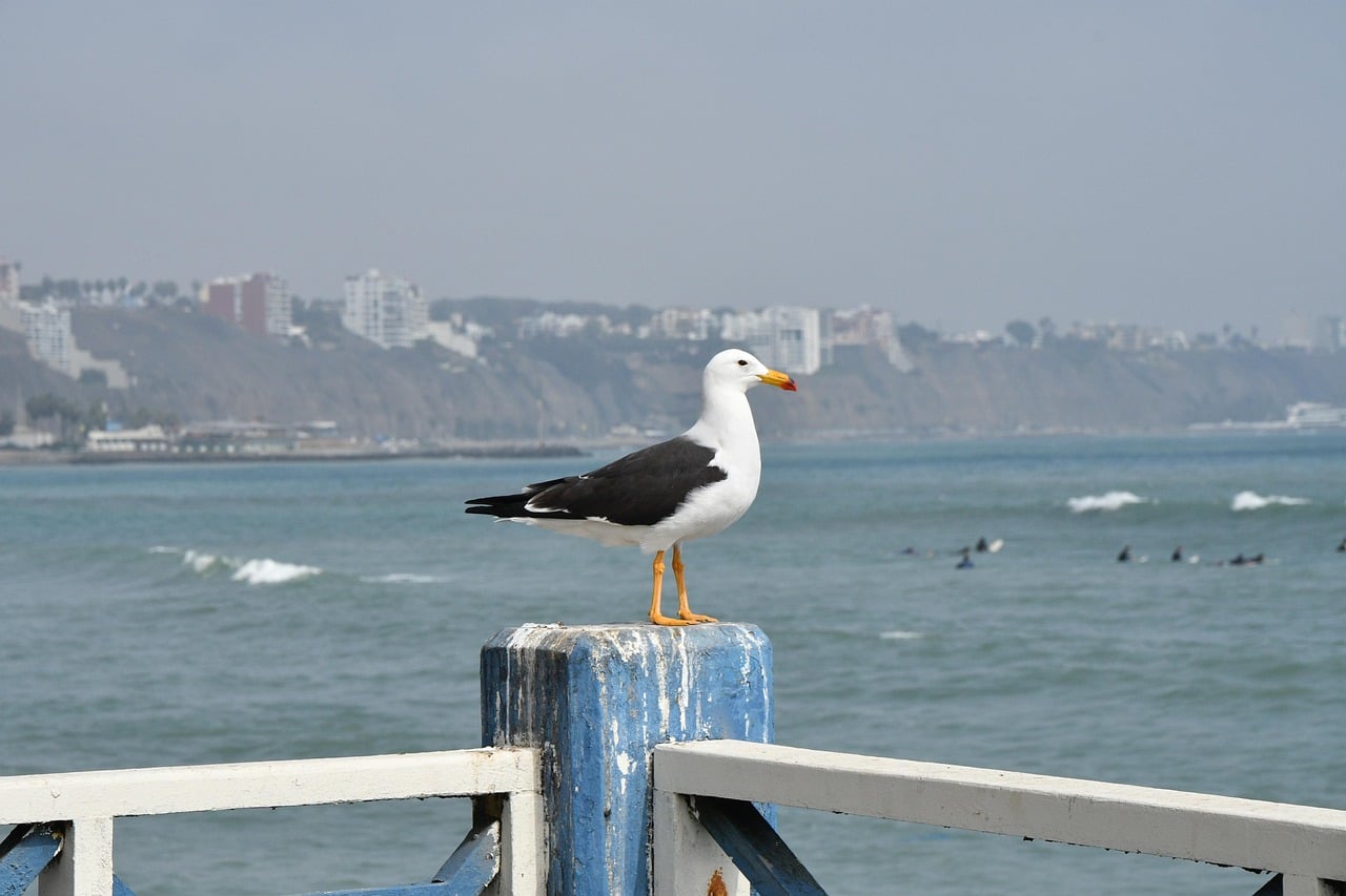 Lima, Peru