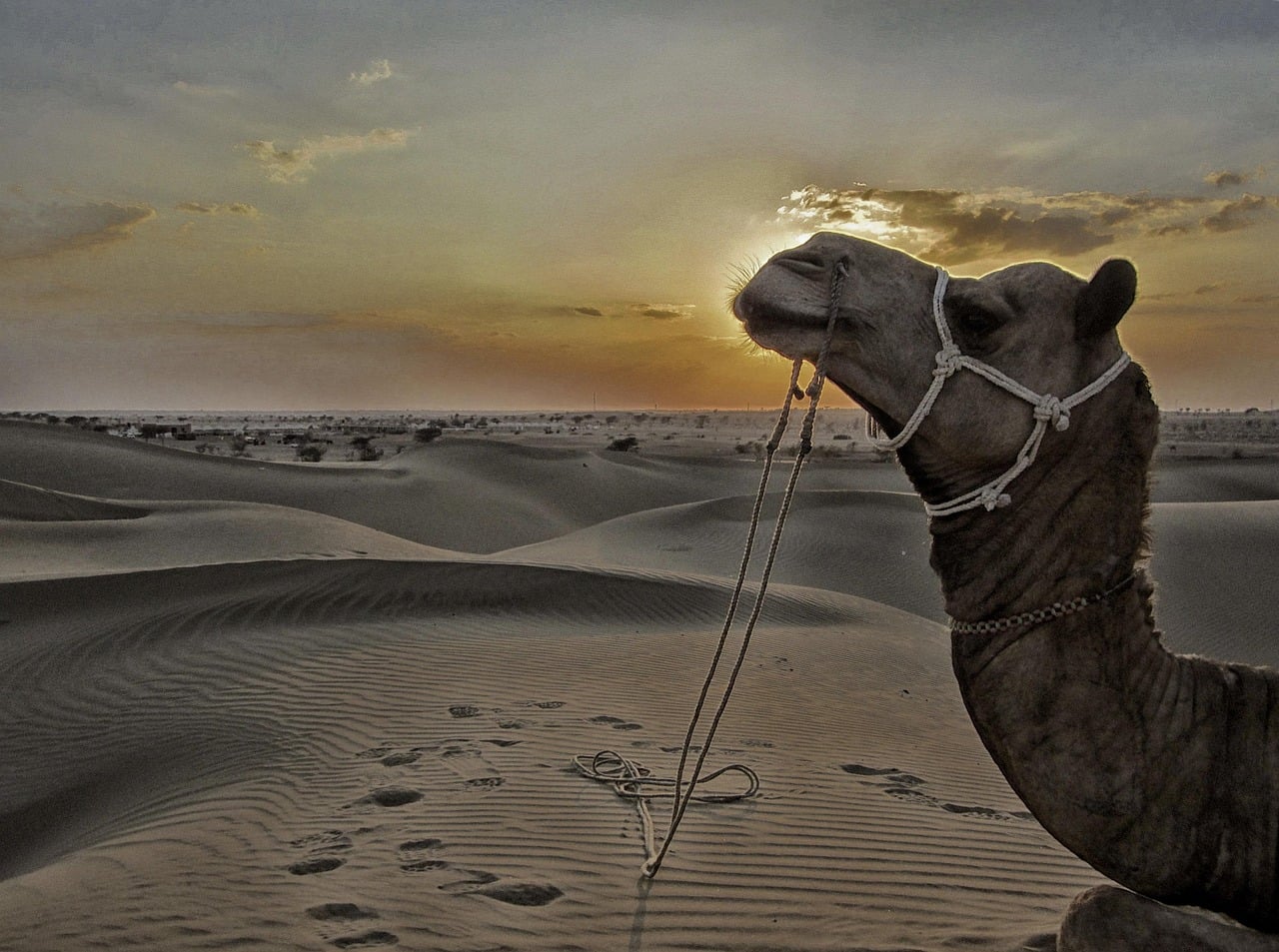 Sam, India