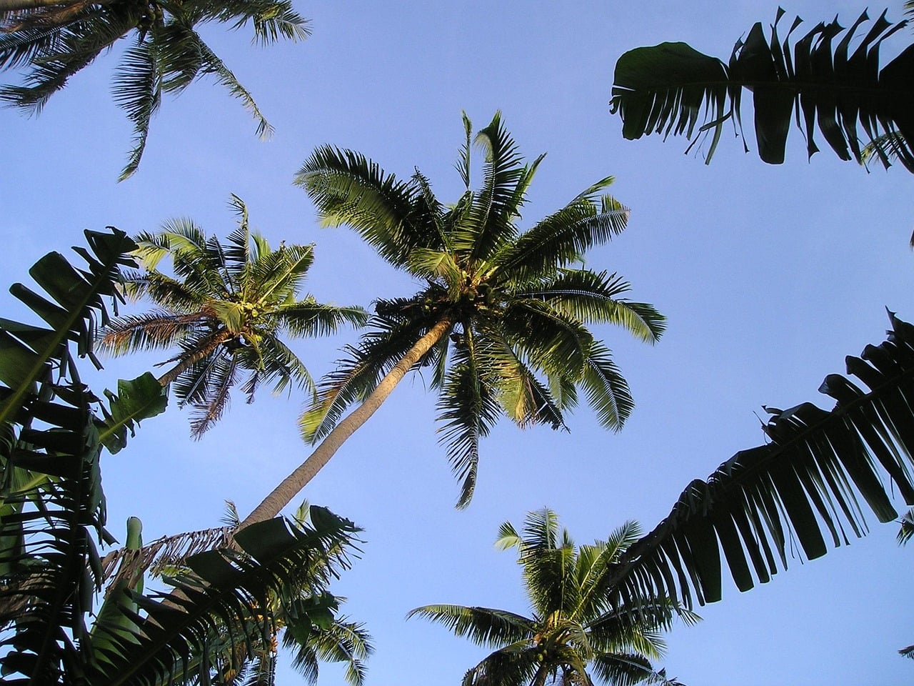 Upolu, Samoa